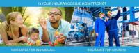 Blue Lion Insurance Advisors, LLC image 25